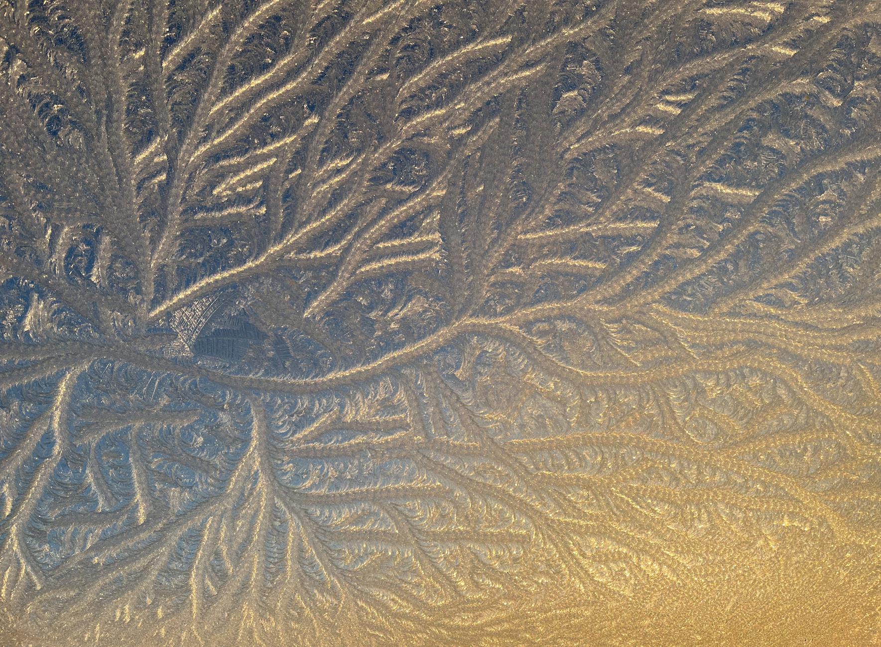 frosted translucent sticker applied to a glass panel or light box, showing the diffused muted colour effect from the translucent film
