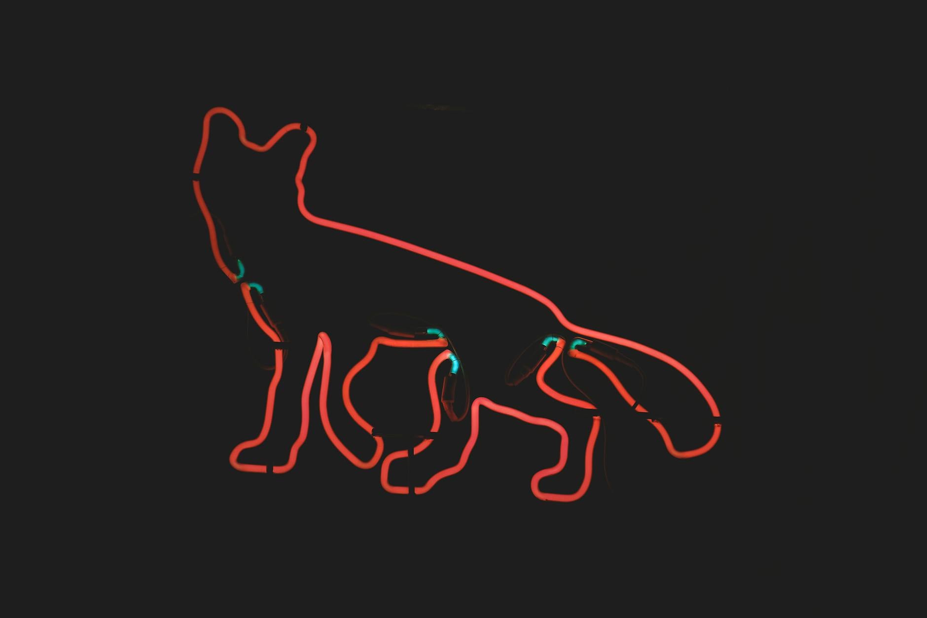 custom-outline sticker in the shape of a distinctive animal or plant mascot, showing precision contour cutting with the sticker applied to a