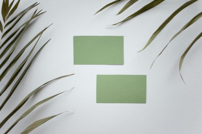 A spread of premium double-sided business cards on a white surface, front side showing clean typographic layout with minimal branding, rever
