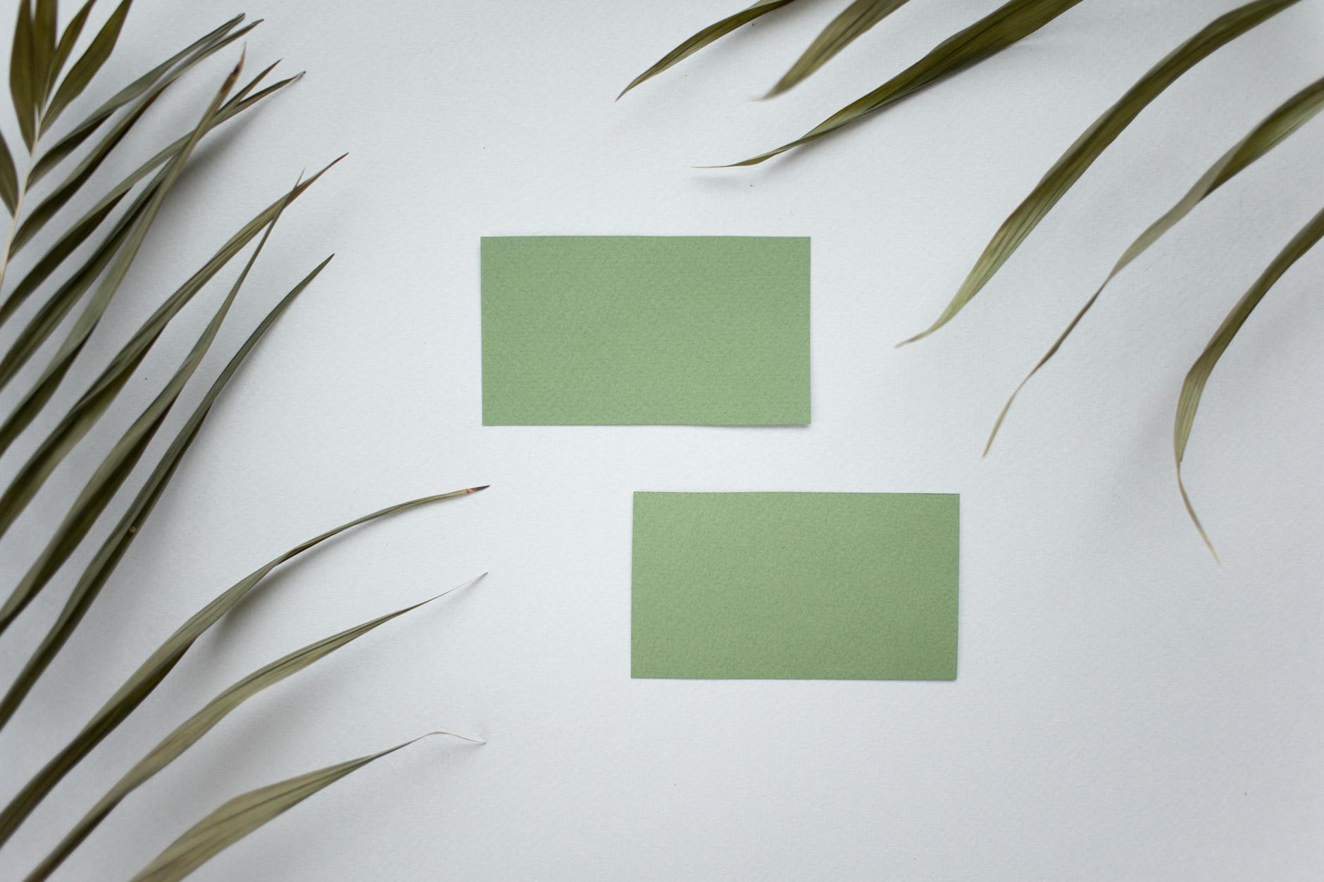 A spread of premium double-sided business cards on a white surface, front side showing clean typographic layout with minimal branding, rever