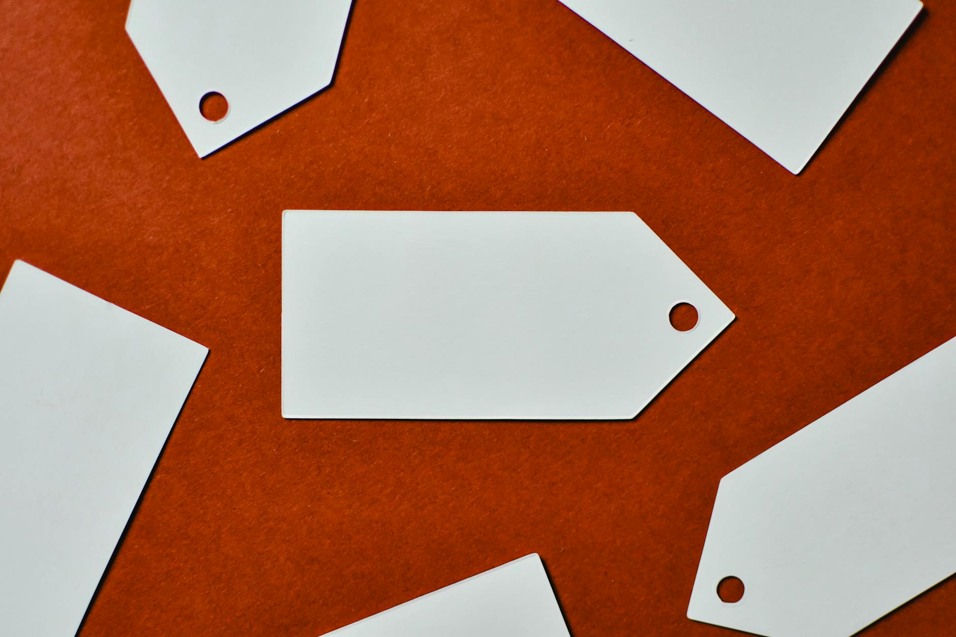 Six label shapes laid out on a clean white surface, rectangle, circle, oval, square, rounded-corner rectangle and foil rectangle, showing