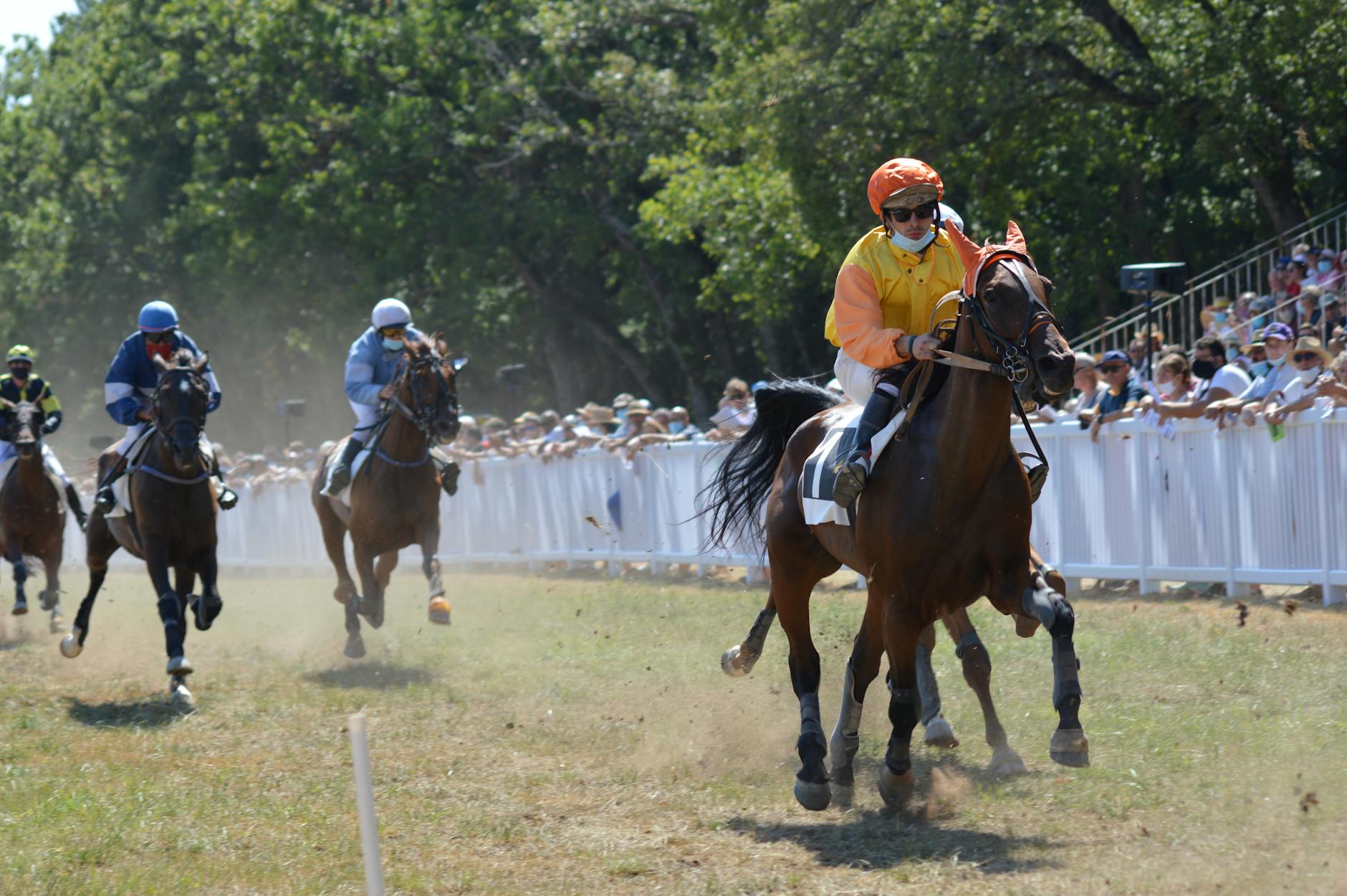 jockeys and horses racing past a packed crowd on race day