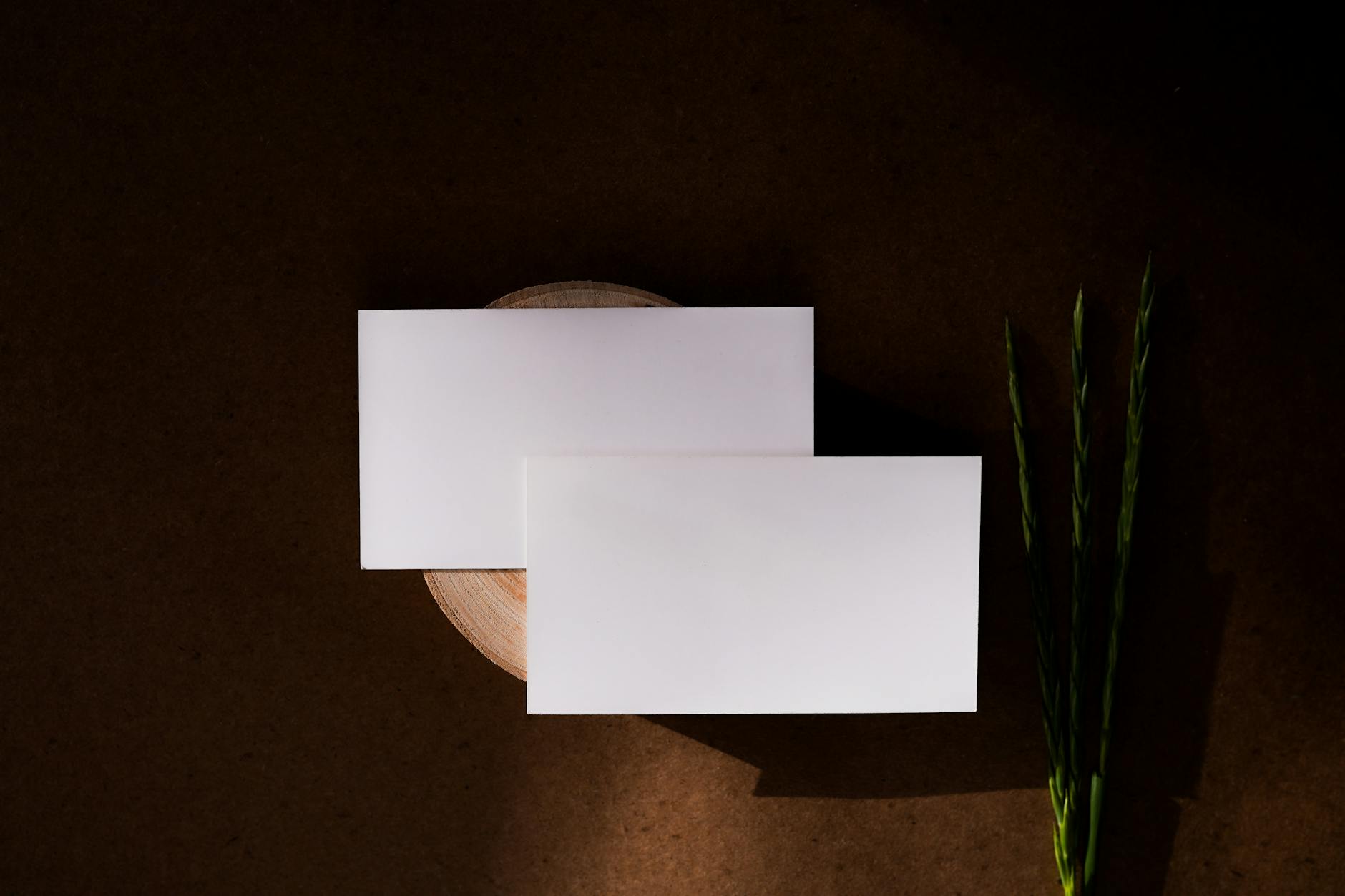 two blank white printed flyers overlapping on a dark tabletop, showing front and back