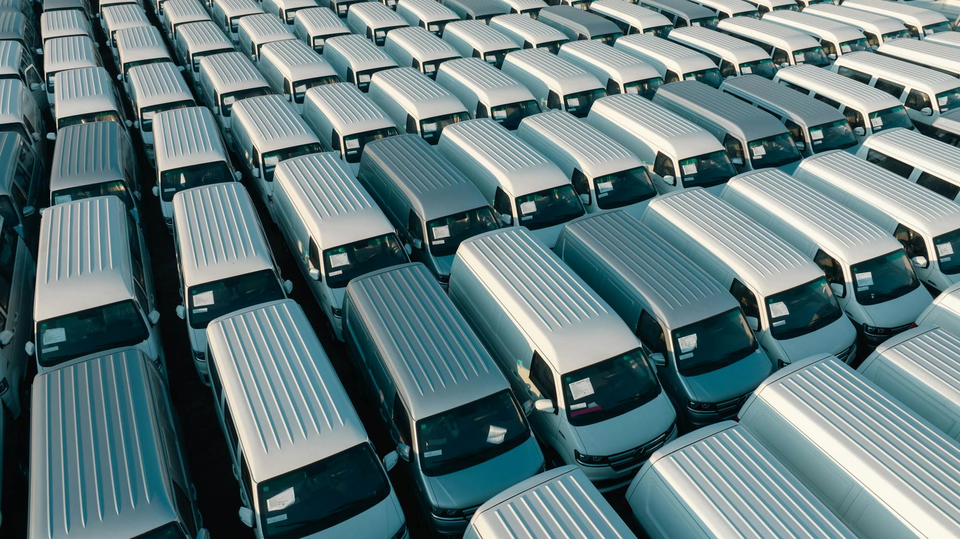 A fleet of white tradie vans with matching bumper stickers showing a business logo, contact number and website URL on the rear bumper